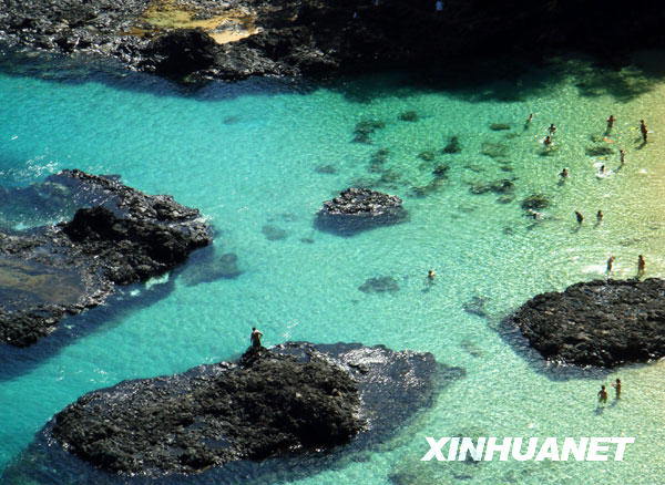 费尔南多—迪诺罗尼亚岛不朽情缘游戏网站美